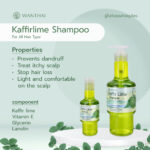 KaffirLime Shampoo