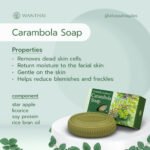 Carambola Soap