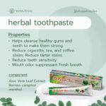 Wanthai Intensive Extract Herbal Toothpaste