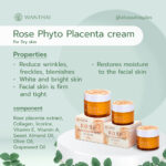 Rose Phyto Placenta Cream for dry skin